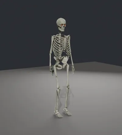 Skeleton